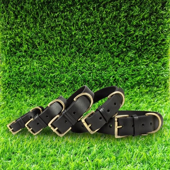 Paul Walter Genuine Leather Dog Collar for Small to Large Dogs - Picture 5 of 9